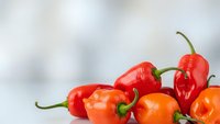 Fresh red and orange habanero chili peppers with green stems on white surface. Spicy hot peppers for cooking, seasoning and culinary preparations.