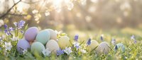Colorful Easter eggs nestled in spring grass with purple wildflowers and warm golden sunlight creating magical bokeh background for holiday celebrations.