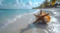 Starfish and seashell on wet sandy tropical beach with turquoise ocean waves, palm trees and dramatic clouds in background. Summer vacation concept.
