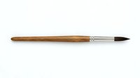 Wooden handle paintbrush with natural bristles and metal ferrule, isolated on white background for design and art projects.