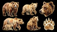 Collection of brown bears in various poses and angles, isolated on transparent background, ready for t-shirt design, clipart, stickers, sublimation, and print-on-demand products.