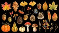 Watercolor autumn collection with leaves, acorns, pine cones, mushrooms, pumpkins and berries, isolated on transparent background, ready for clipart, stickers, sublimation and print on demand.
