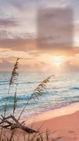 Serene coastal landscape at sunset with golden light reflecting on calm ocean waves, sandy beach, and dried sea oats in foreground. Ideal for travel and wellness projects.