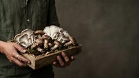 Farmer holding wooden crate with freshly harvested mushrooms and moss against dark background. Suitable for organic food, agriculture, and farming content.