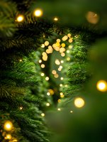 Glowing warm bokeh lights through evergreen pine branches create magical holiday atmosphere. Soft focus Christmas tree illumination for festive backgrounds.