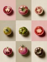 Colorful heirloom tomato varieties arranged in grid pattern showing whole and halved specimens against pastel background for food photography.
