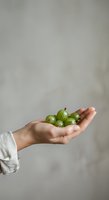 Hand holding fresh green gooseberries on neutral background. Organic fruit produce for healthy eating, nutrition, and natural food concepts.