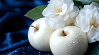 White apples with water droplets and camellia flowers on dark blue velvet background, creating elegant still life composition.
