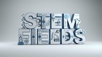 STEM fields concept with science technology engineering mathematics symbols in metallic letters for educational materials and academic presentations.