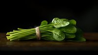 Fresh green spinach leaves bundled with twine on dark wooden surface, dramatic lighting highlights vibrant color and water droplets for food photography.