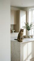 Tabby cat sitting on a marble kitchen island in a bright, minimalist Scandinavian-style home interior with neutral tones and eucalyptus decor.