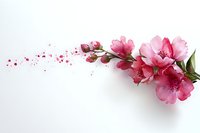 Pink alstroemeria flowers with scattered petals and dots creating magical flowing composition on white background, isolated for creative projects.