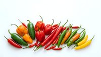 Colorful assortment of fresh hot chili peppers in red, green, yellow and orange varieties arranged on white background for culinary and cooking projects.
