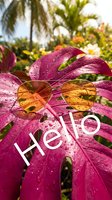 Sunglasses resting on a vibrant wet tropical monstera leaf with Hello text, lush palm garden background, summer vacation mood.