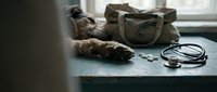 Tabby cat resting on table next to canvas tote bag and stethoscope, suitable for veterinary clinics, pet care websites, and animal health marketing materials.