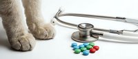 Cat paws with stethoscope and colorful pills on white background. Veterinary medicine concept for pet healthcare and animal treatment.