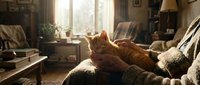 Ginger cat relaxing on person's lap by sunny window in cozy living room with warm lighting and vintage furniture. Perfect for lifestyle and pet content.