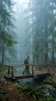 Hiker with backpack standing on wooden bridge crossing stream in misty coniferous forest with tall evergreen trees and fog, suitable for travel and outdoor adventure themes.