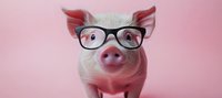 Adorable pink piglet wearing black-rimmed glasses against pink background, close-up portrait showing smart and playful expression. Suitable for business concepts.