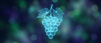 Glowing neon grape cluster with stem on dark blurred background, digital wireframe style for technology and science concepts.