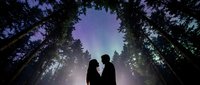 Young couple silhouetted against aurora borealis in forest clearing at night, surrounded by tall evergreen trees, romantic northern lights scene for travel and nature content.