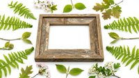 Rustic wooden frame surrounded by fresh green fern leaves, small white flowers, and various foliage arranged on white background for nature-themed designs and botanical projects.