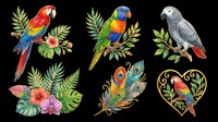 Colorful parrots and macaws isolated on transparent background with tropical foliage and feathers. Ready for t-shirt design, clipart, stickers, sublimation and print-on-demand products.