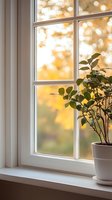 Houseplant on white windowsill against autumn sunset with golden bokeh lights through window panes, creating cozy atmospheric home interior scene.