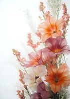 Delicate peach and mauve hibiscus flowers with small coral blossoms against soft white background, creating dreamy floral arrangement for wedding and romantic designs.