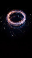 Glowing energy portal with swirling light trails and sparks on black background for sci-fi and fantasy designs.