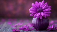 Single purple daisy flower in modern spherical vase against dark background with scattered petals creating romantic mood for spa and wellness design.