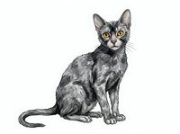 Tabby cat sitting and looking at camera with alert expression, isolated on white background for design, clipart, and pet-related projects.