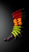 Colorful chili peppers arranged in curved line on dark background showcasing variety of hot peppers from red to orange green and purple spices.