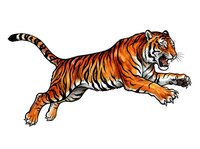 Aggressive tiger leaping forward with mouth open, isolated on white background, suitable for clipart, t-shirt designs, and graphic applications.