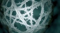 Macro view of a complex white fibrous network forming a spherical mesh structure on a dark teal background, resembling biological tissue or nanotechnology.