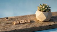 SEO letters on wooden tiles placed on a rustic plank beside a succulent in a geometric pot, symbolizing digital marketing strategy.