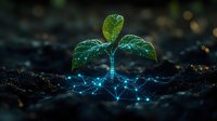 Young green plant seedling growing from soil with glowing digital network roots, representing growth, technology, and nature connection in agriculture and biotechnology.