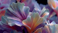 Iridescent holographic flower petals with rainbow shimmer effects in purple pink and gold tones. Abstract floral art with metallic gradient finish on dark background.