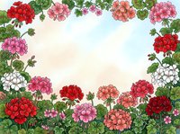 Watercolor geranium floral frame with red, pink, and white blooms on a soft sky background, forming a decorative border for cards and invitations.