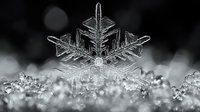 Delicate snowflake crystal with intricate geometric patterns and symmetrical branches captured in macro photography against blurred winter background.