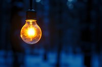 Glowing light bulb illuminated against dark winter forest background creates magical atmosphere with snow and bokeh effect in evening twilight.