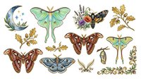 Watercolor moth and butterfly collection with crescent moon, lavender flowers, and botanical foliage elements isolated on white background, suitable for design projects.