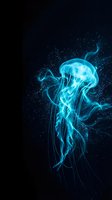 Luminous blue jellyfish floating in dark water with glowing tentacles and sparkling particles creating mystical underwater atmosphere for marine design projects.