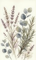Watercolor botanical arrangement with lavender sprigs, eucalyptus branches and rosemary herbs on neutral background for natural home decor projects.