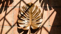 Golden monstera leaf casting dramatic shadows on textured terracotta tile surface, suitable for interior design, home decor, and botanical artwork projects.