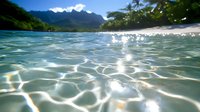 Sunlight creates mesmerizing caustic patterns on crystal clear tropical waters with mountain peaks and palm trees silhouetted against blue sky in Hawaii paradise setting.