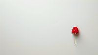 Single red raspberry on wooden stick against minimalist white background, creating striking visual contrast for food photography or culinary concepts.