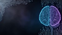 Digital brain with circuit board patterns in cyan and purple colors representing artificial intelligence and machine learning technology concepts.