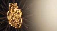 Golden wireframe human heart with glowing light rays on gradient background for medical education and healthcare design concepts.