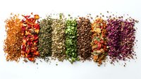 Colorful dried herbs and spices arranged in rows on white background, including chili flakes, oregano, parsley, peppercorns and sumac. Food seasoning collection.
